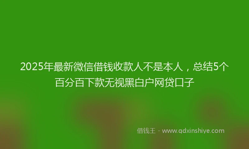 2025年最新微信借钱收款人不是本人，总结5个百分百下款无视黑白户网贷口子
