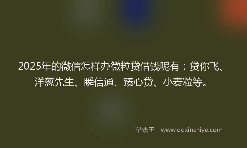 2025年的微信怎样办微粒贷借钱呢有：贷你飞、洋葱先生、瞬信通、臻心贷、小麦粒等。