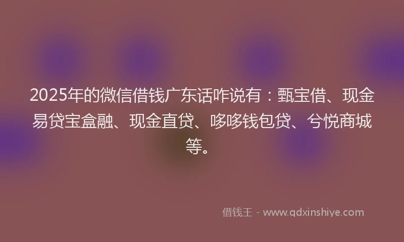 2025年的微信借钱广东话咋说有：甄宝借、现金易贷宝盒融、现金直贷、哆哆钱包贷、兮悦商城等。