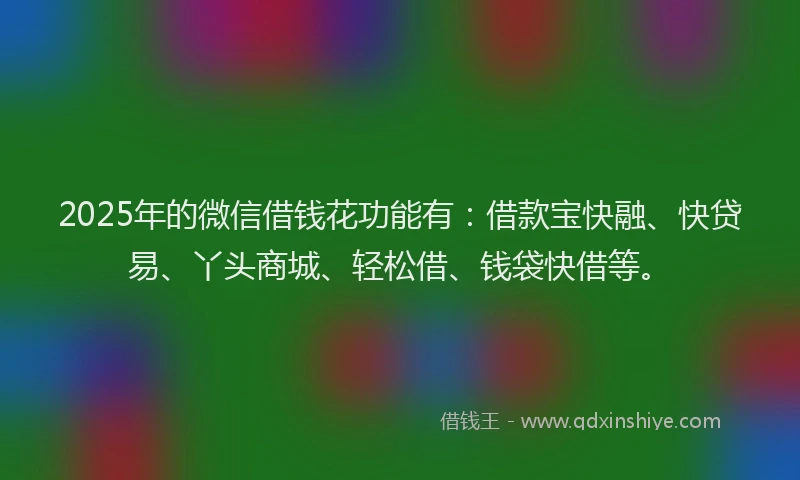 2025年的微信借钱花功能有：借款宝快融、快贷易、丫头商城、轻松借、钱袋快借等。