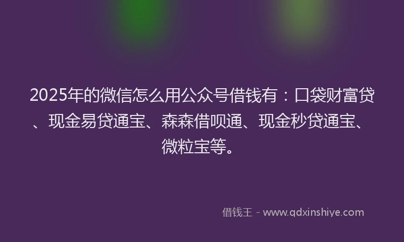 2025年的微信怎么用公众号借钱有：口袋财富贷、现金易贷通宝、森森借呗通、现金秒贷通宝、微粒宝等。