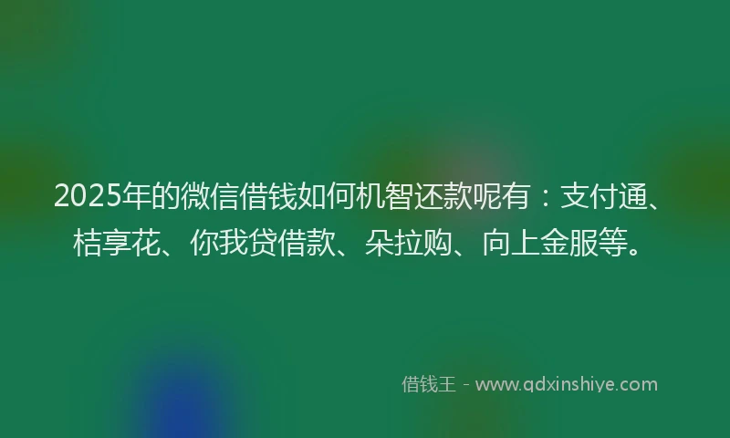 2025年的微信借钱如何机智还款呢有：支付通、桔享花、你我贷借款、朵拉购、向上金服等。