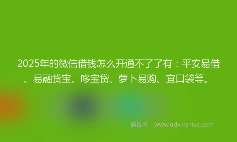 2025年的微信借钱怎么开通不了了有：平安易借、易融贷宝、哆宝贷、萝卜易购、宜口袋等。