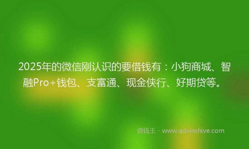 2025年的微信刚认识的要借钱有：小狗商城、智融Pro+钱包、支富通、现金侠行、好期贷等。
