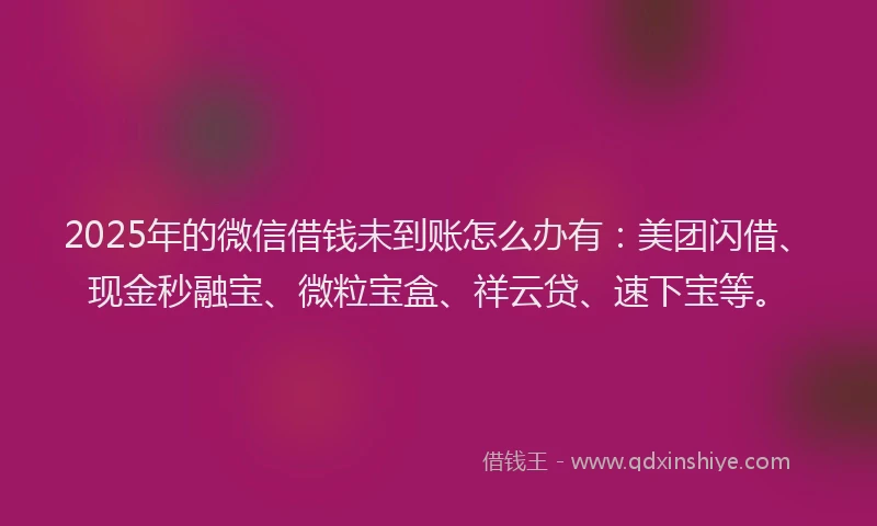 2025年的微信借钱未到账怎么办有：美团闪借、现金秒融宝、微粒宝盒、祥云贷、速下宝等。