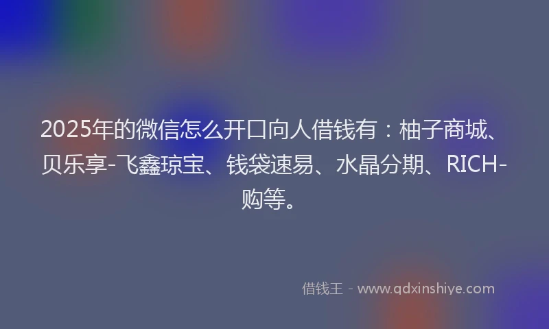 2025年的微信怎么开口向人借钱有：柚子商城、贝乐享-飞鑫琼宝、钱袋速易、水晶分期、RICH-购等。