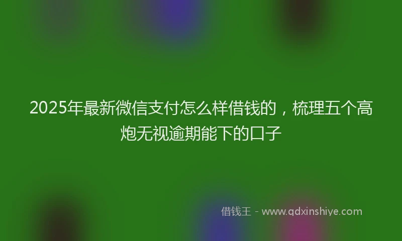 2025年最新微信支付怎么样借钱的，梳理五个高炮无视逾期能下的口子