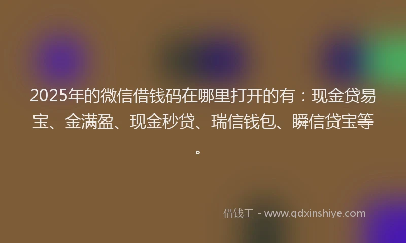 2025年的微信借钱码在哪里打开的有：现金贷易宝、金满盈、现金秒贷、瑞信钱包、瞬信贷宝等。