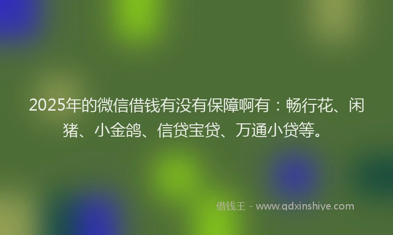 2025年的微信借钱有没有保障啊有：畅行花、闲猪、小金鸽、信贷宝贷、万通小贷等。