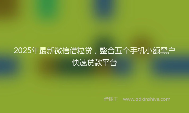 2025年最新微信借粒贷，整合五个手机小额黑户快速贷款平台