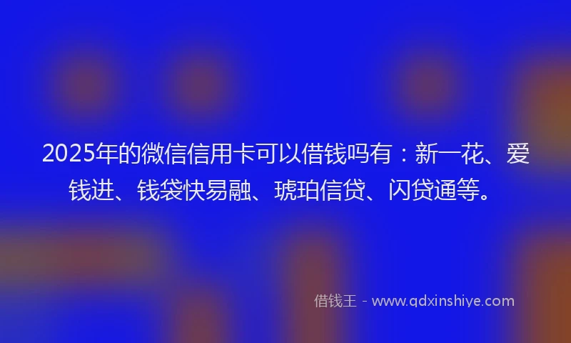 2025年的微信信用卡可以借钱吗有：新一花、爱钱进、钱袋快易融、琥珀信贷、闪贷通等。