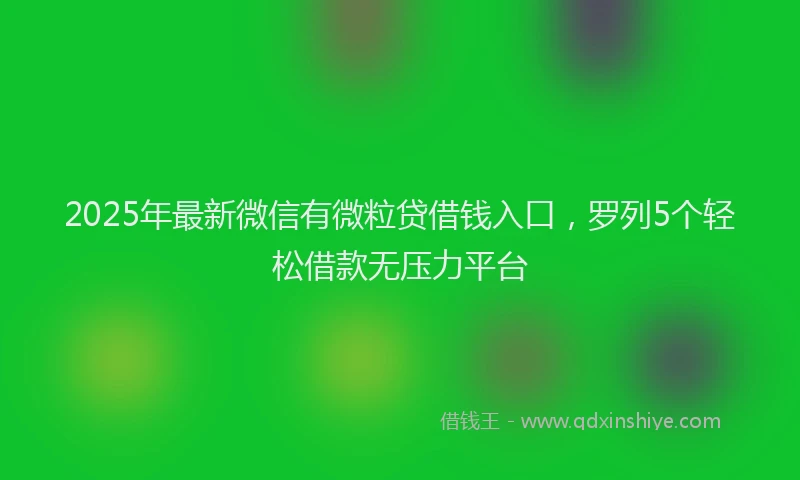 2025年最新微信有微粒贷借钱入口，罗列5个轻松借款无压力平台