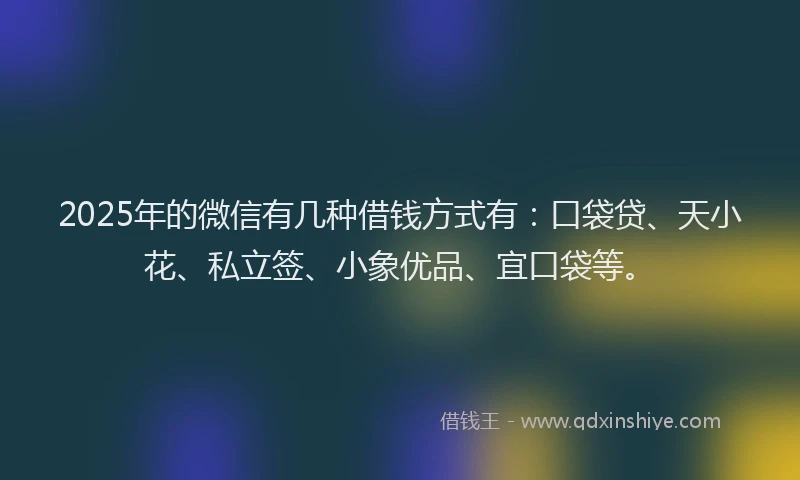 2025年的微信有几种借钱方式有：口袋贷、天小花、私立签、小象优品、宜口袋等。