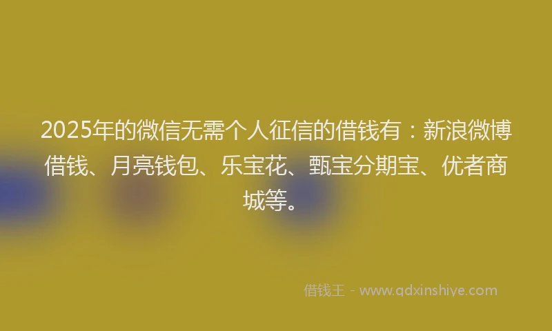 2025年的微信无需个人征信的借钱有：新浪微博借钱、月亮钱包、乐宝花、甄宝分期宝、优者商城等。