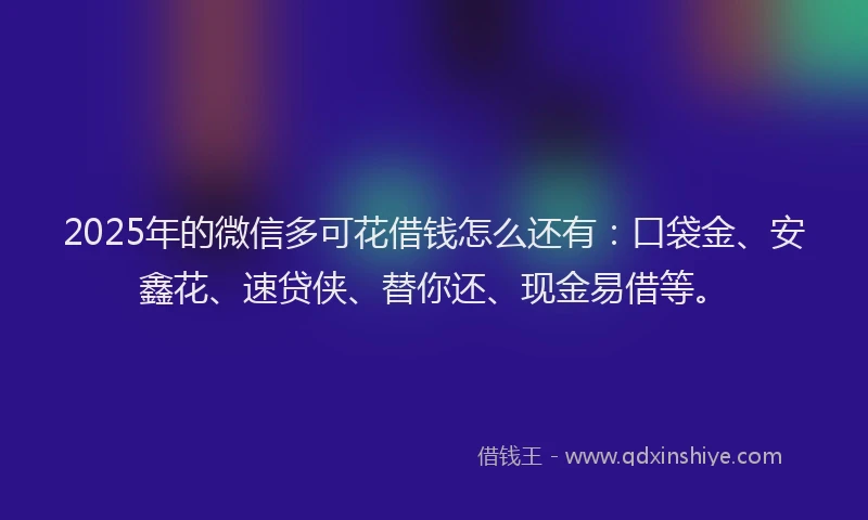 2025年的微信多可花借钱怎么还有：口袋金、安鑫花、速贷侠、替你还、现金易借等。