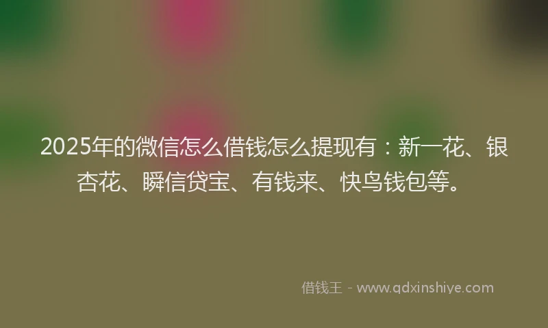 2025年的微信怎么借钱怎么提现有：新一花、银杏花、瞬信贷宝、有钱来、快鸟钱包等。
