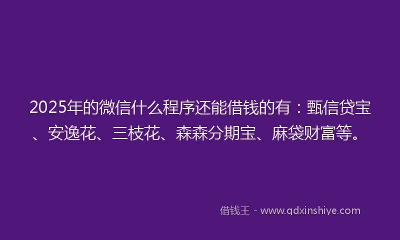 2025年的微信什么程序还能借钱的有：甄信贷宝、安逸花、三枝花、森森分期宝、麻袋财富等。