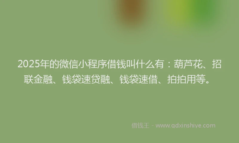 2025年的微信小程序借钱叫什么有：葫芦花、招联金融、钱袋速贷融、钱袋速借、拍拍用等。