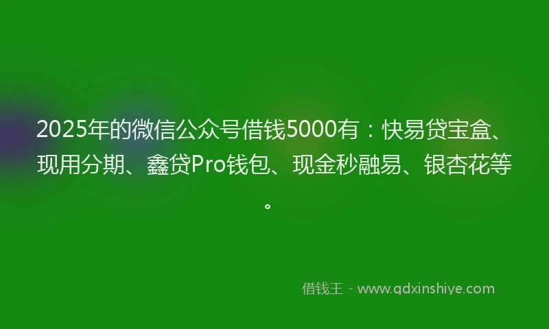2025年的微信公众号借钱5000有：快易贷宝盒、现用分期、鑫贷Pro钱包、现金秒融易、银杏花等。