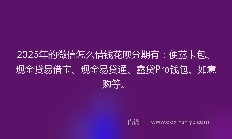 2025年的微信怎么借钱花呗分期有：便荔卡包、现金贷易借宝、现金易贷通、鑫贷Pro钱包、如意购等。