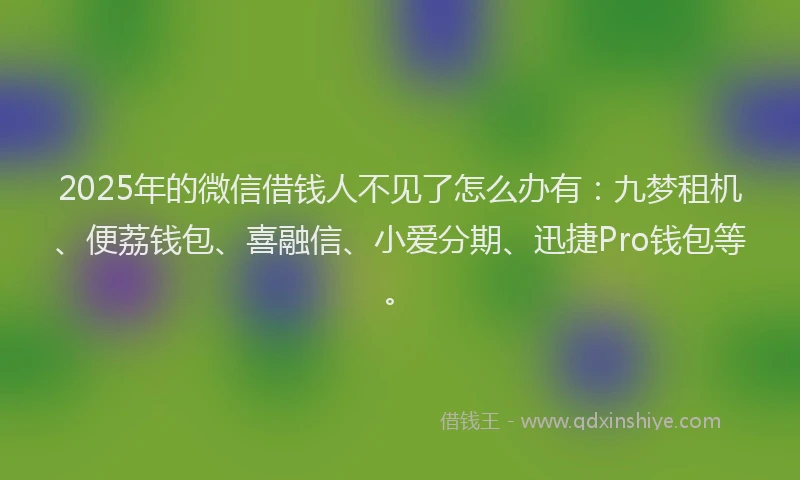 2025年的微信借钱人不见了怎么办有：九梦租机、便荔钱包、喜融信、小爱分期、迅捷Pro钱包等。