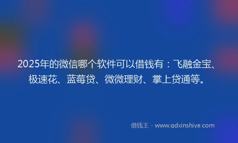 2025年的微信哪个软件可以借钱有：飞融金宝、极速花、蓝莓贷、微微理财、掌上贷通等。