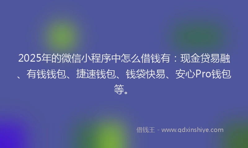 2025年的微信小程序中怎么借钱有：现金贷易融、有钱钱包、捷速钱包、钱袋快易、安心Pro钱包等。