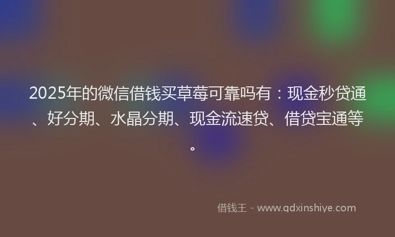 2025年的微信借钱买草莓可靠吗有：现金秒贷通、好分期、水晶分期、现金流速贷、借贷宝通等。