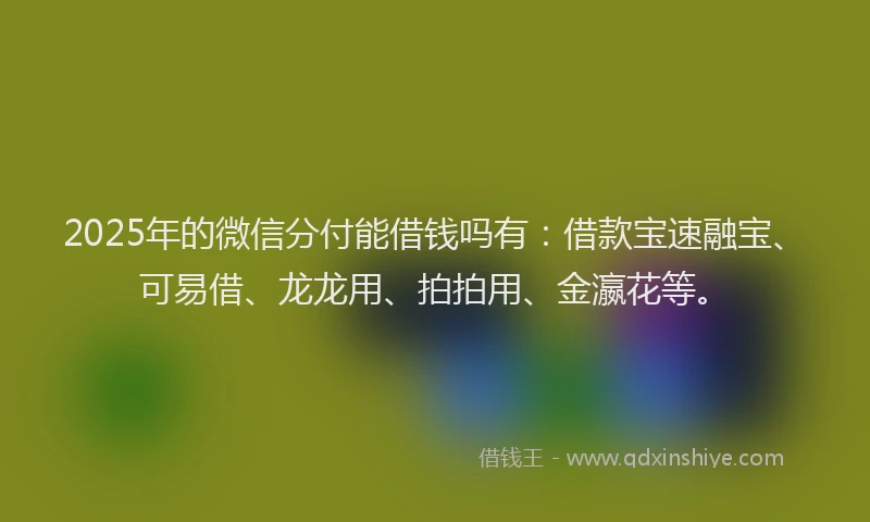 2025年的微信分付能借钱吗有：借款宝速融宝、可易借、龙龙用、拍拍用、金瀛花等。