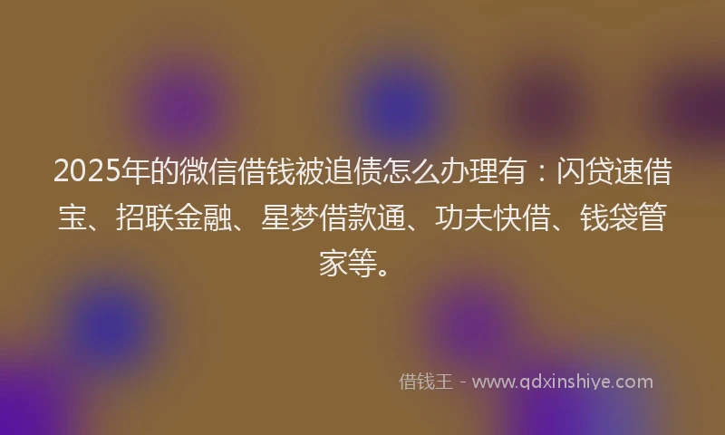 2025年的微信借钱被追债怎么办理有：闪贷速借宝、招联金融、星梦借款通、功夫快借、钱袋管家等。
