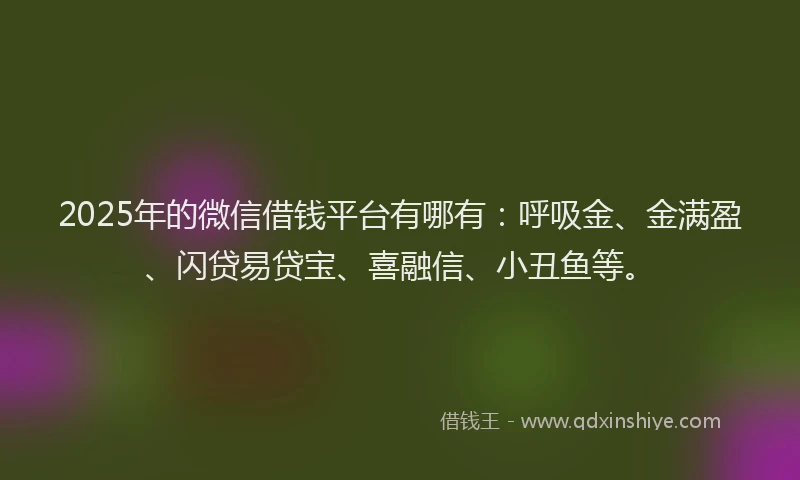 2025年的微信借钱平台有哪有：呼吸金、金满盈、闪贷易贷宝、喜融信、小丑鱼等。
