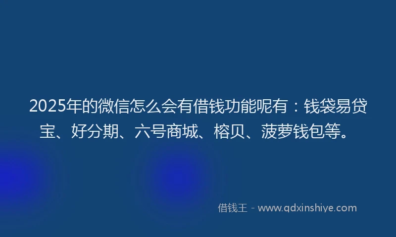 2025年的微信怎么会有借钱功能呢有：钱袋易贷宝、好分期、六号商城、榕贝、菠萝钱包等。