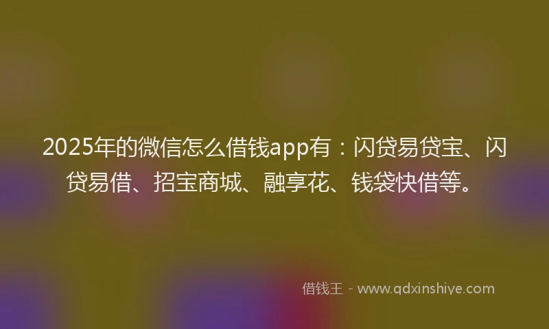 2025年的微信怎么借钱app有：闪贷易贷宝、闪贷易借、招宝商城、融享花、钱袋快借等。
