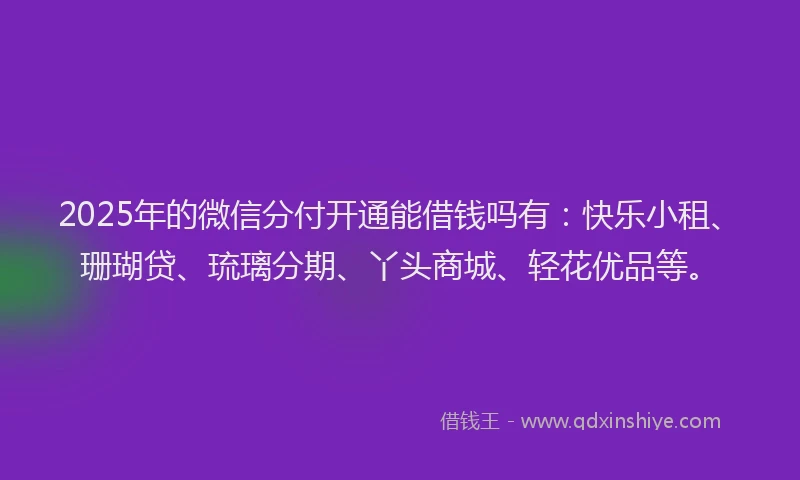 2025年的微信分付开通能借钱吗有：快乐小租、珊瑚贷、琉璃分期、丫头商城、轻花优品等。