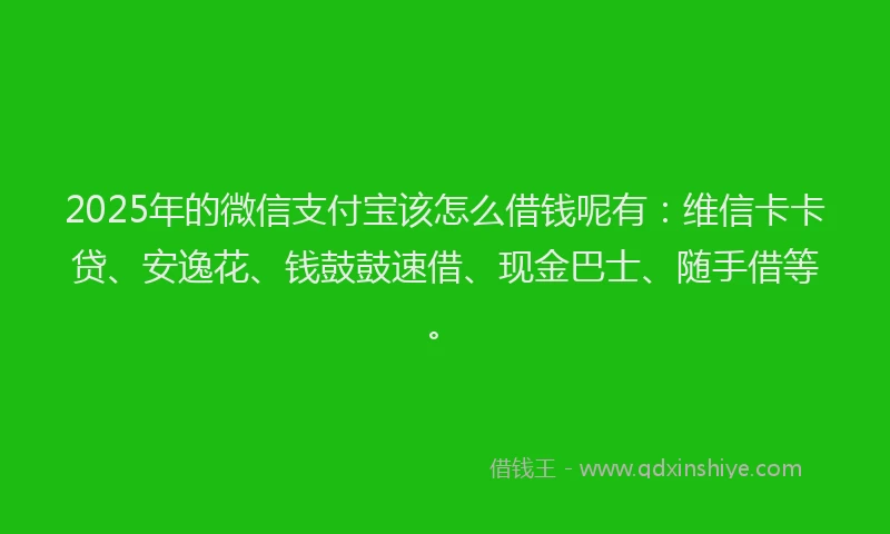 2025年的微信支付宝该怎么借钱呢有：维信卡卡贷、安逸花、钱鼓鼓速借、现金巴士、随手借等。