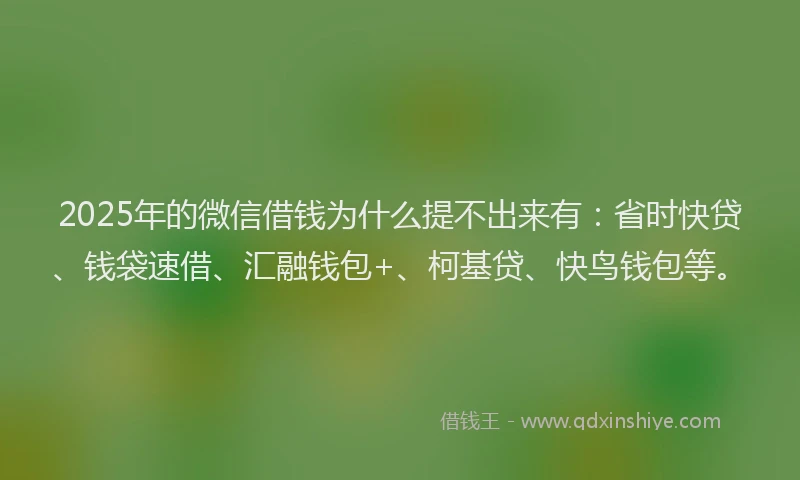 2025年的微信借钱为什么提不出来有：省时快贷、钱袋速借、汇融钱包+、柯基贷、快鸟钱包等。