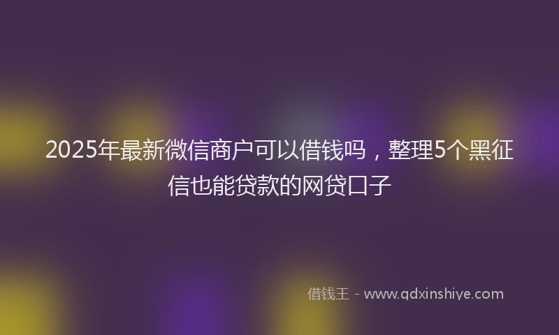2025年最新微信商户可以借钱吗，整理5个黑征信也能贷款的网贷口子