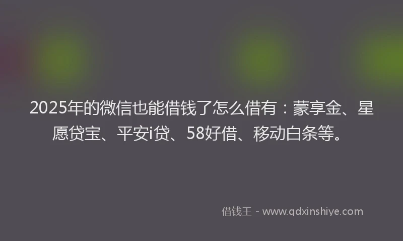 2025年的微信也能借钱了怎么借有：蒙享金、星愿贷宝、平安i贷、58好借、移动白条等。