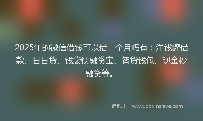 2025年的微信借钱可以借一个月吗有：洋钱罐借款、日日贷、钱袋快融贷宝、智贷钱包、现金秒融贷等。