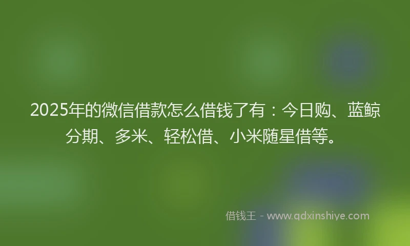 2025年的微信借款怎么借钱了有：今日购、蓝鲸分期、多米、轻松借、小米随星借等。