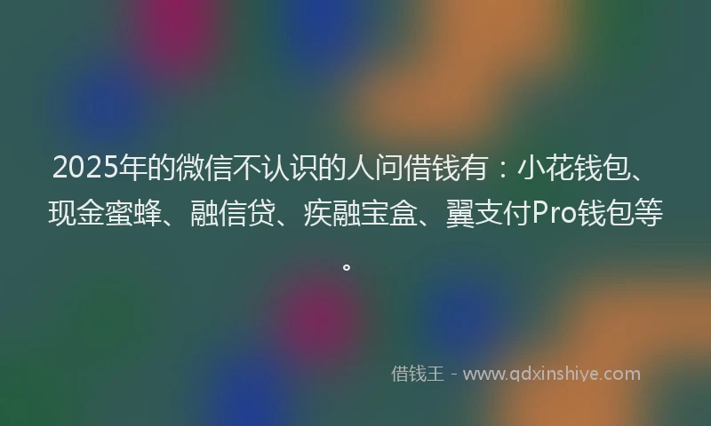 2025年的微信不认识的人问借钱有：小花钱包、现金蜜蜂、融信贷、疾融宝盒、翼支付Pro钱包等。
