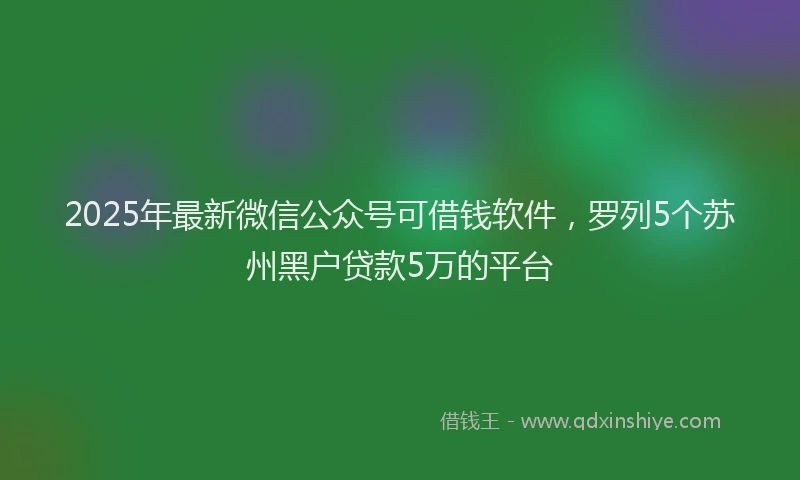 2025年最新微信公众号可借钱软件，罗列5个苏州黑户贷款5万的平台