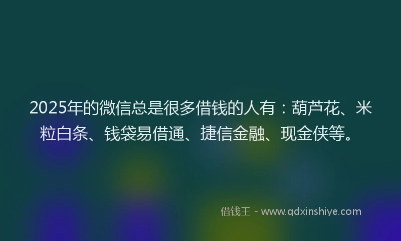 2025年的微信总是很多借钱的人有：葫芦花、米粒白条、钱袋易借通、捷信金融、现金侠等。