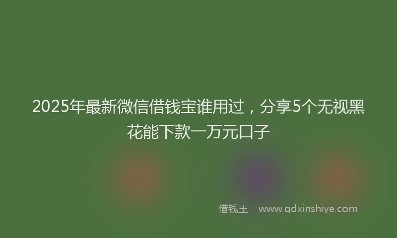 2025年最新微信借钱宝谁用过，分享5个无视黑花能下款一万元口子