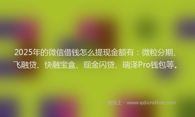 2025年的微信借钱怎么提现金额有：微粒分期、飞融贷、快融宝盒、现金闪贷、瑞泽Pro钱包等。