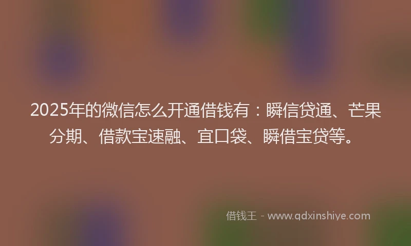 2025年的微信怎么开通借钱有：瞬信贷通、芒果分期、借款宝速融、宜口袋、瞬借宝贷等。