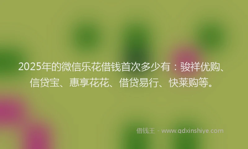 2025年的微信乐花借钱首次多少有：骏祥优购、信贷宝、惠享花花、借贷易行、快莱购等。