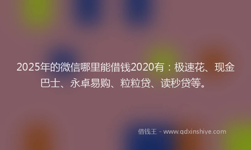 2025年的微信哪里能借钱2020有：极速花、现金巴士、永卓易购、粒粒贷、读秒贷等。