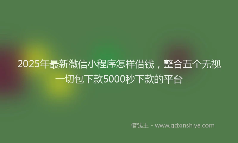 2025年最新微信小程序怎样借钱，整合五个无视一切包下款5000秒下款的平台
