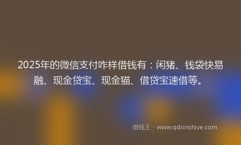 2025年的微信支付咋样借钱有：闲猪、钱袋快易融、现金贷宝、现金猫、借贷宝速借等。